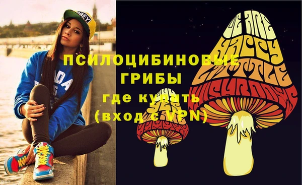 амф Осинники