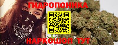 jwh Новозыбков