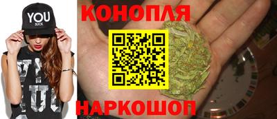 jwh Новозыбков