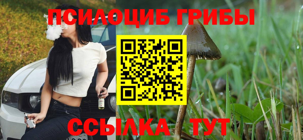Шахты  наркота  Псилоцибиновые грибы ЛСД  Вход с VPN  Псилоцибиновые грибы Cubensis 