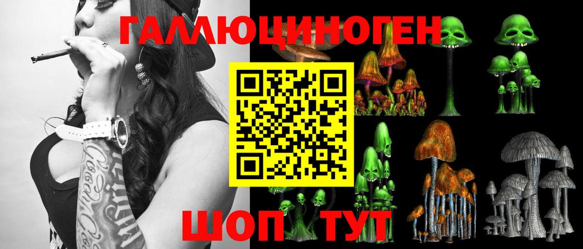 Псилоцибиновые грибы Psilocybe Шахты